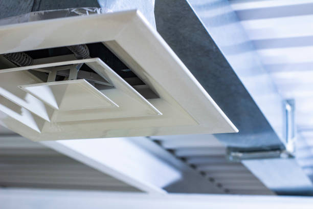 Best HVAC System Cleaning  in Fish Hawk, FL