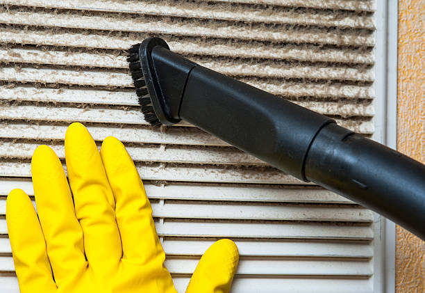 Best Commercial HVAC Duct Cleaning  in Fish Hawk, FL